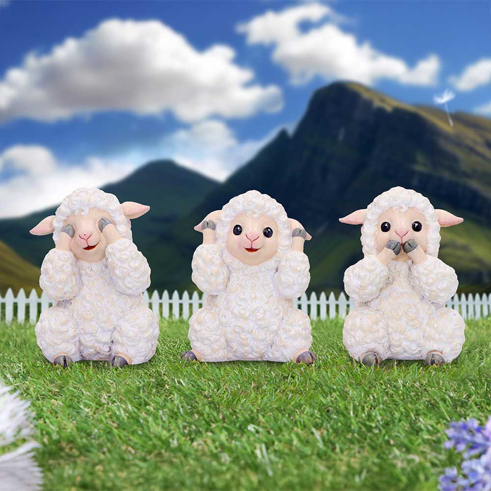 Three Wise Sheep