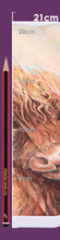 Load image into Gallery viewer, Highland Cow Foldable Lamp 21cm
