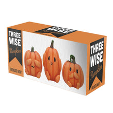 Load image into Gallery viewer, Three Wise Pumpkins 8cm
