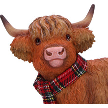 Load image into Gallery viewer, Highland Snug 11.5cm
