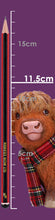Load image into Gallery viewer, Highland Snug 11.5cm
