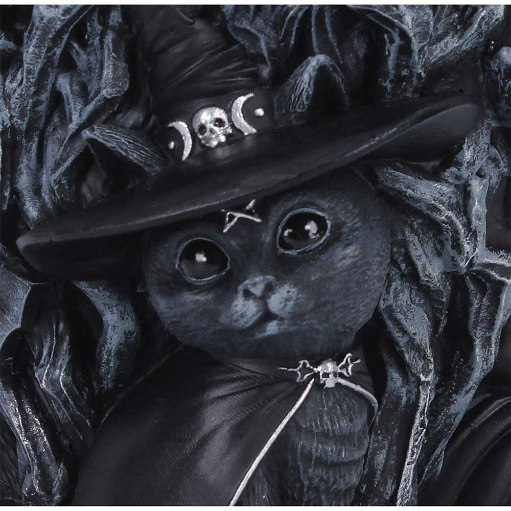 Black cat wearing a witch hat with skull and moon designs on a textured black background