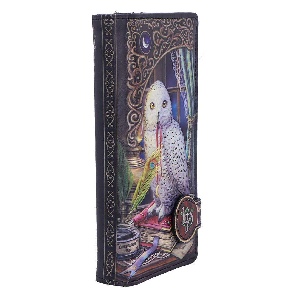 Gothic fantasy zip-around purse owl design