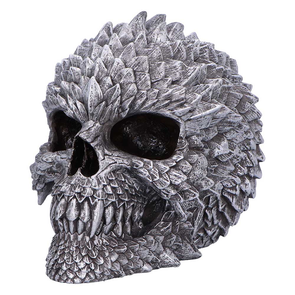 Angled view of dragon-inspired scales on Scaled Remains skull