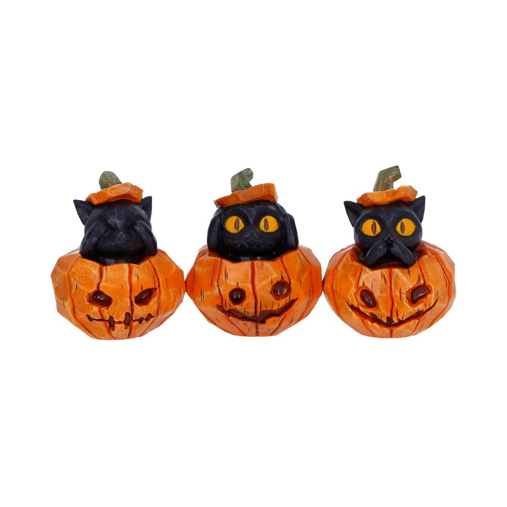 Three Wise Pumpkin Patch 7.7cm Halloween black cat and pumpkin figurine set by Nemesis Now