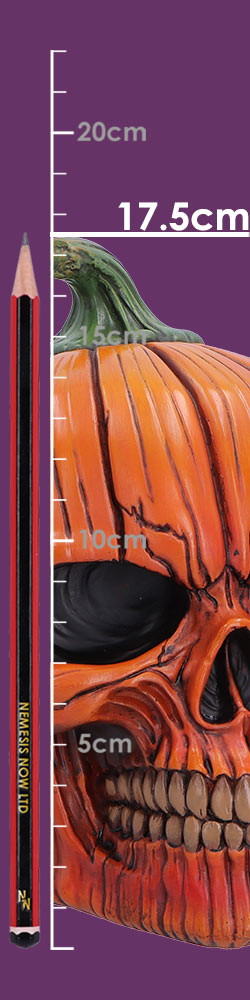 Nemesis Now Hall of Horrors Spirit of Halloween skull full size detail