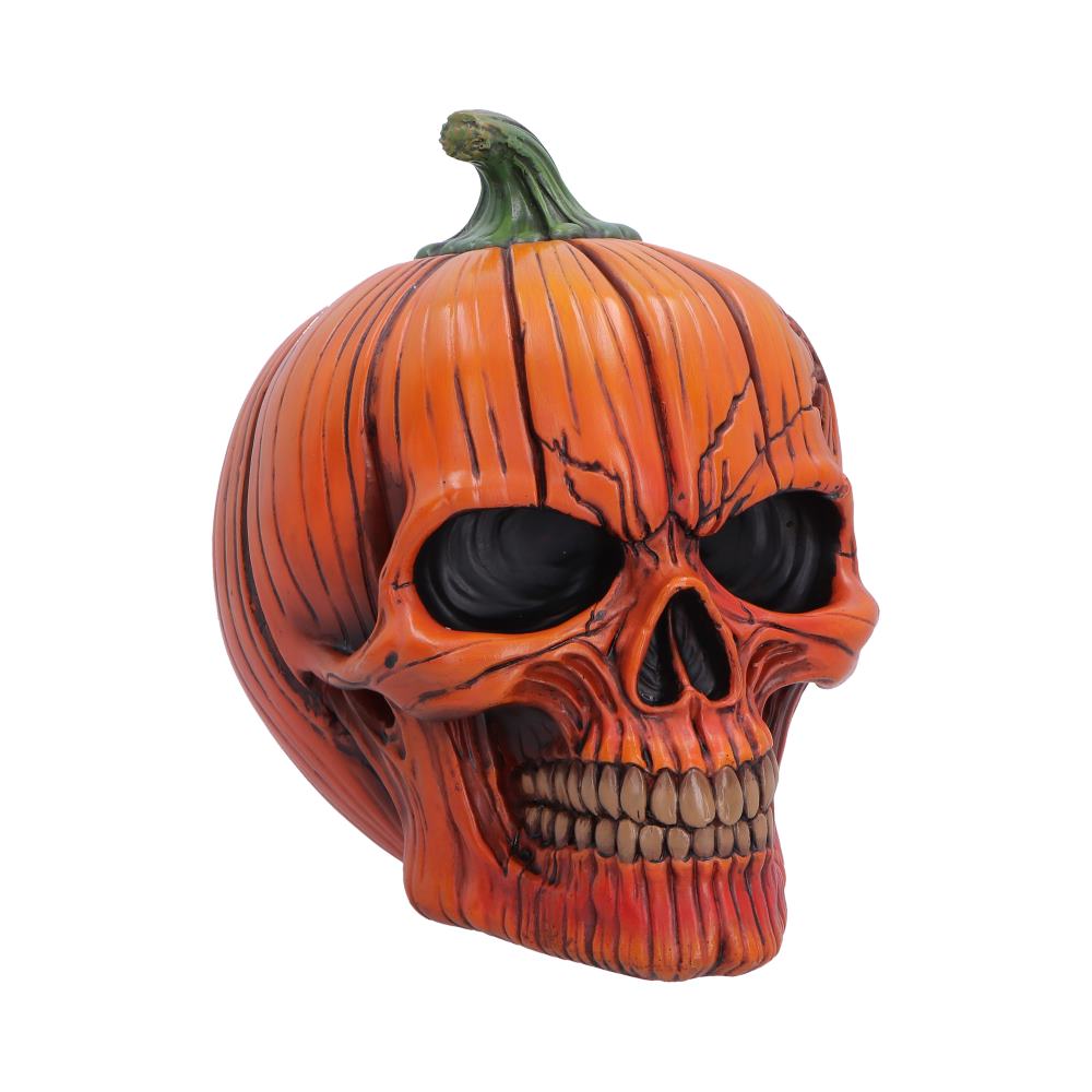 Hall of Horrors: The Spirit of Halloween Skull Figurine 17.5cm featuring a realistic skull with carved pumpkin-inspired detailing and vibrant orange hand-painted accents.