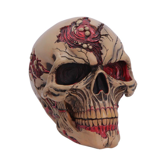 Hall of Horrors: The Walker of Death Skull Figurine 15.5cm featuring a realistic zombie-inspired skull with decaying flesh, exposed bone, and premium hand-painted polyresin detailing.