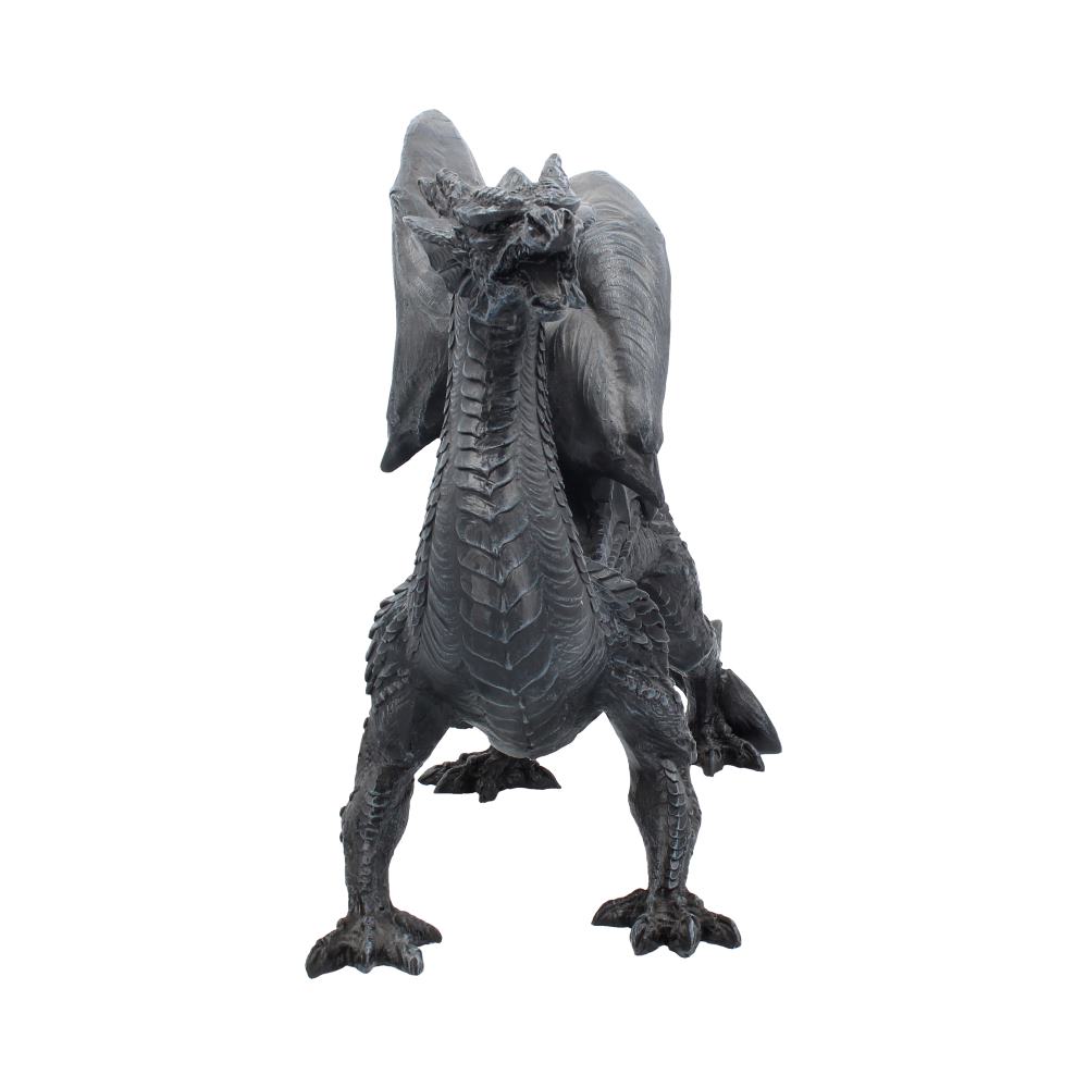 Dragon Watcher 31cm