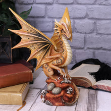 Load image into Gallery viewer, Adult Desert Dragon (AS) 24.5cm
