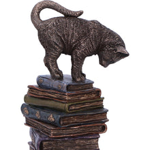 Load image into Gallery viewer, Feline Scholars 18cm
