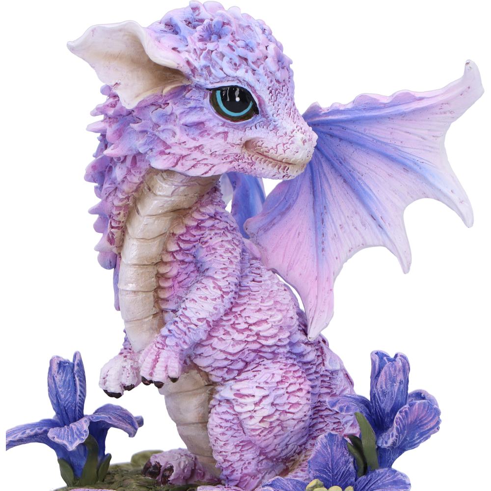 Iris Flower Dragon 12cm