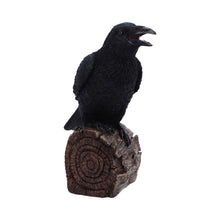 Load image into Gallery viewer, Ravens Cry 18cm
