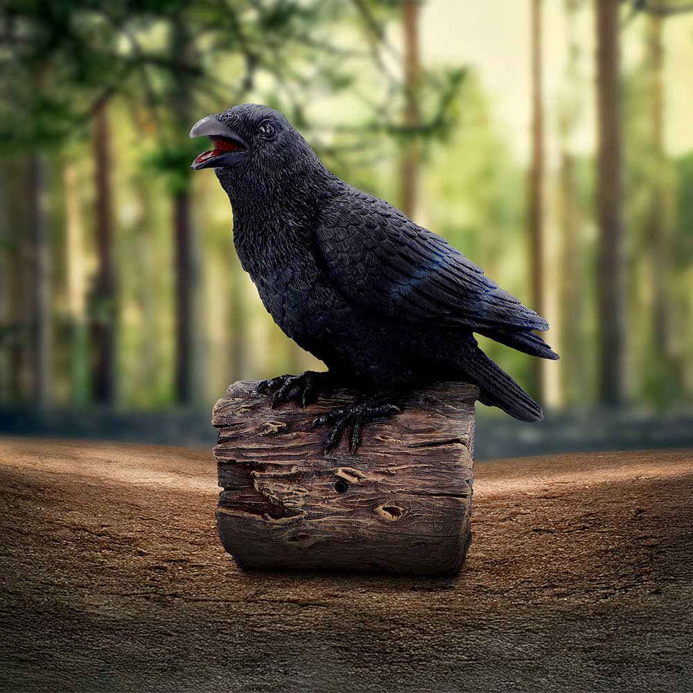 Ravens Cry 18cm