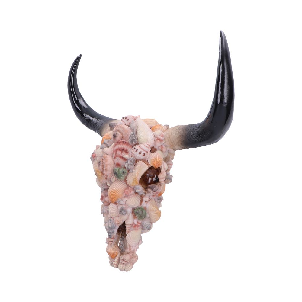 Coastal gothic skull ornament side view detail