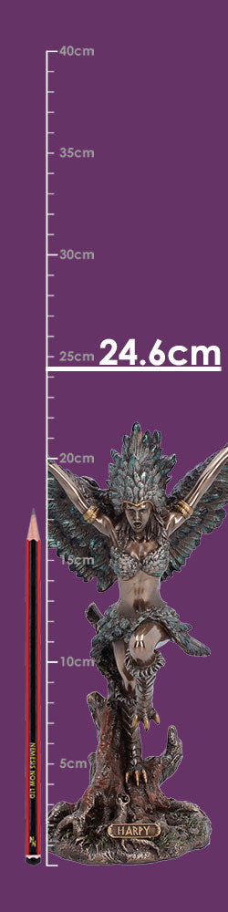 Nemesis Now Harpy gift boxed figurine full sie detail