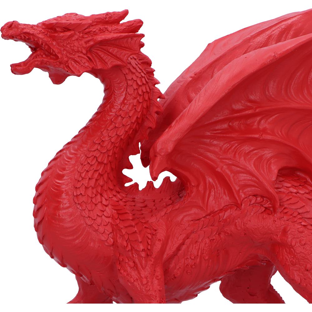 Dragons Honour 31cm