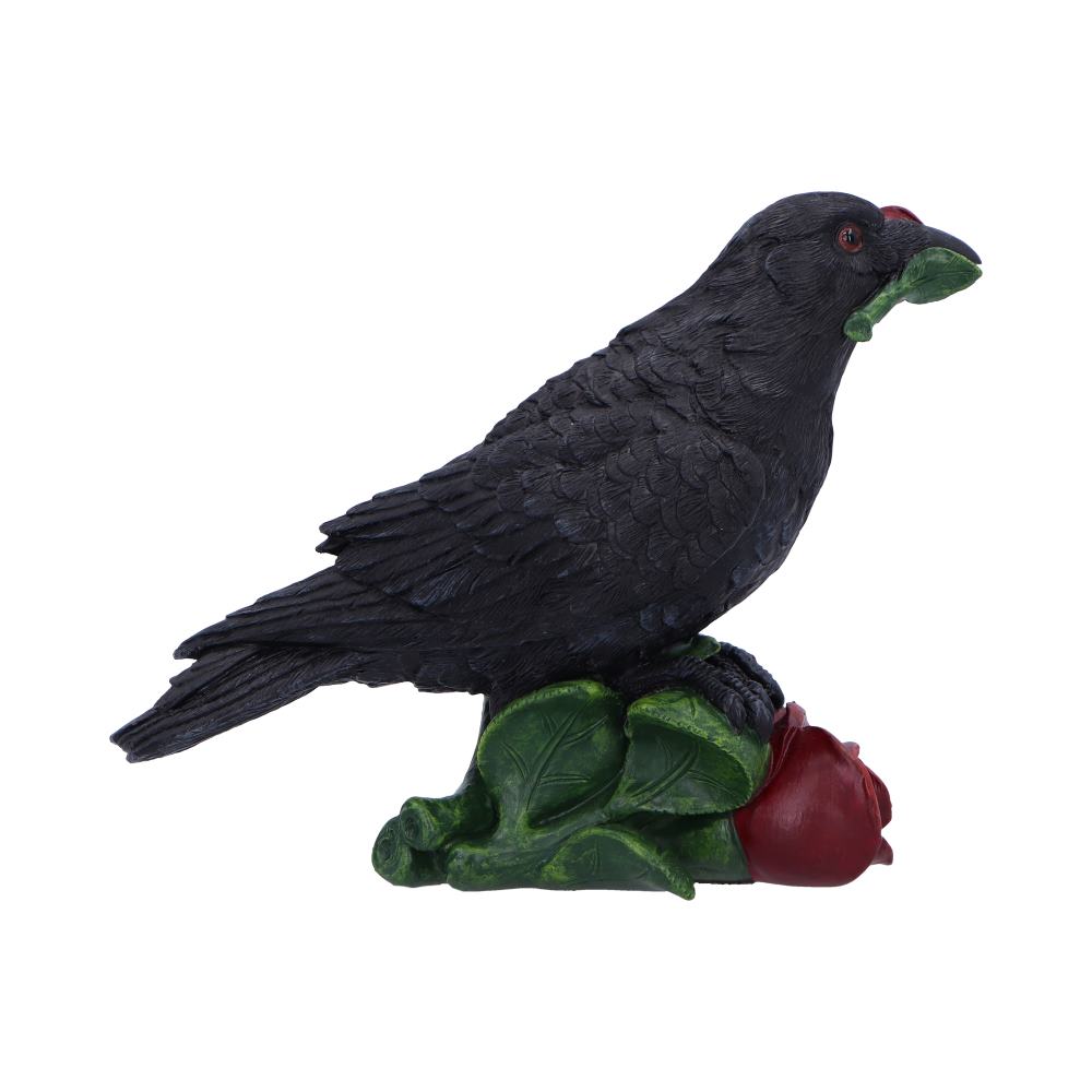 Rose of the Raven 14cm