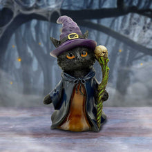 Load image into Gallery viewer, Whiskered Wizard 14cm
