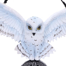 Load image into Gallery viewer, Owl Talisman 20.5cm
