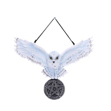 Load image into Gallery viewer, Owl Talisman 20.5cm
