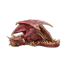 Load image into Gallery viewer, Aaden (Large)
