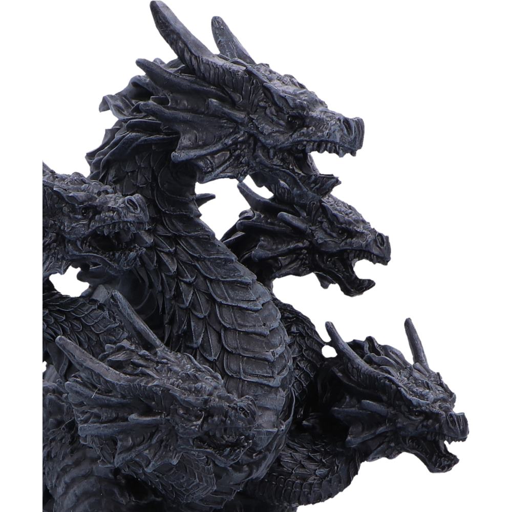 Close-up of hydra heads and scale detailing