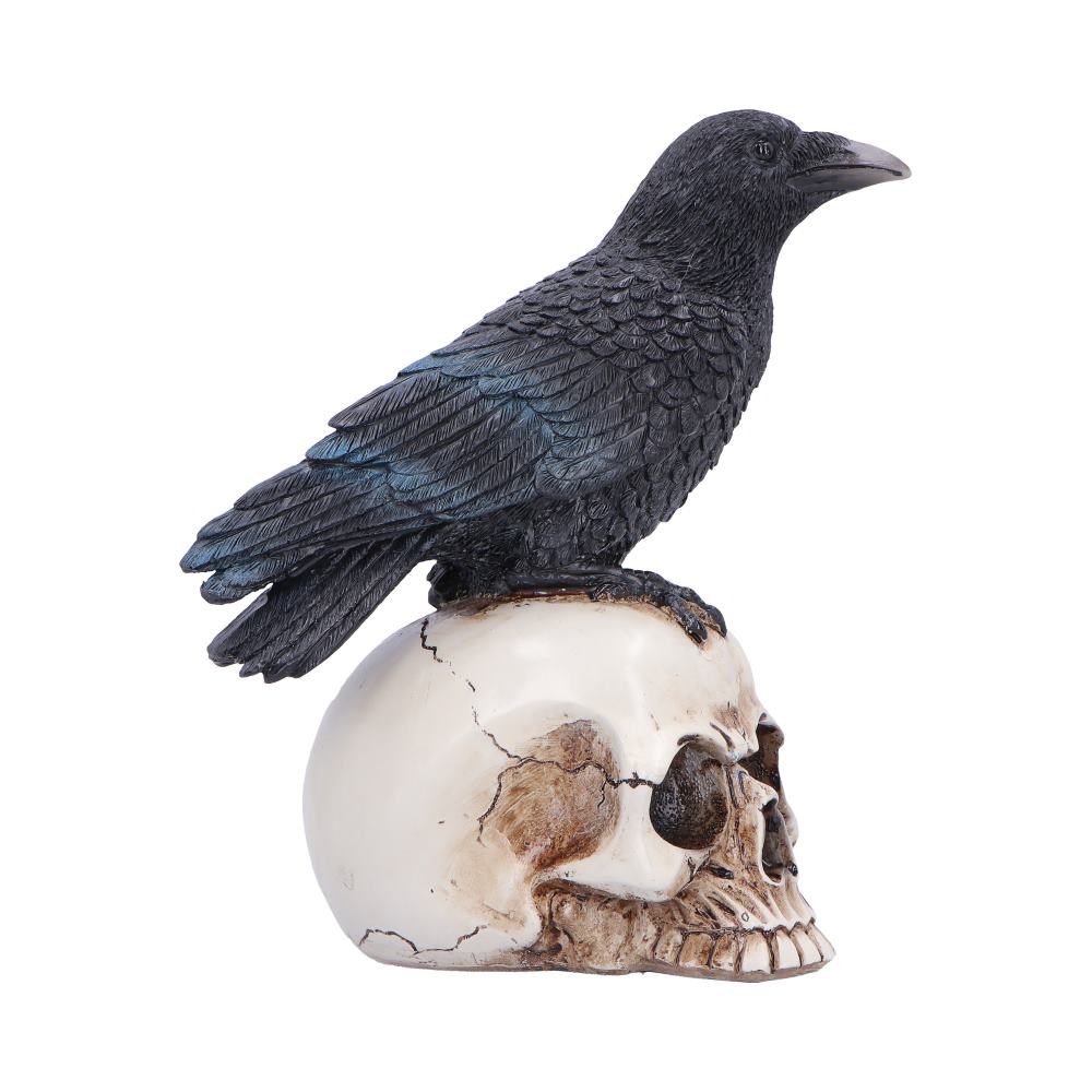 Black raven perched on skull gothic ornament