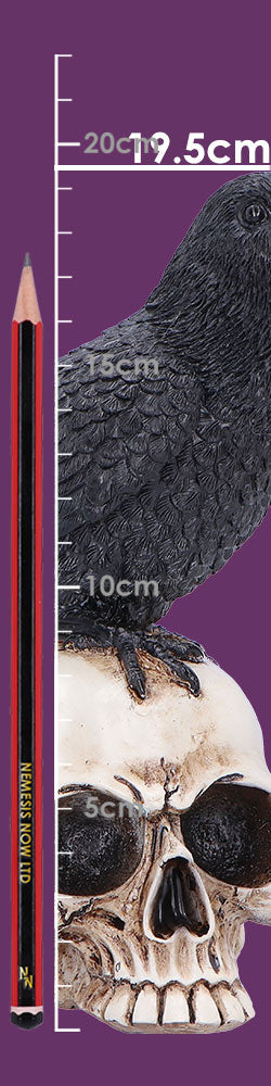 Full size display view of raven and skull ornament