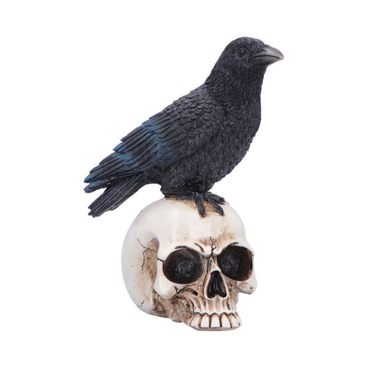 Nevermore Vigil raven and skull figurine 19.5cm