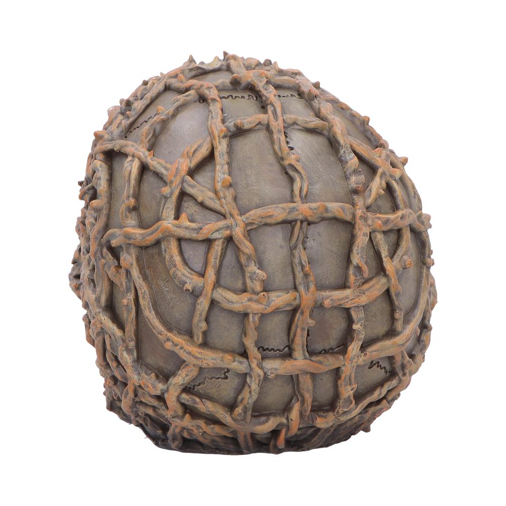 Back view of gothic skull with woven branch textures