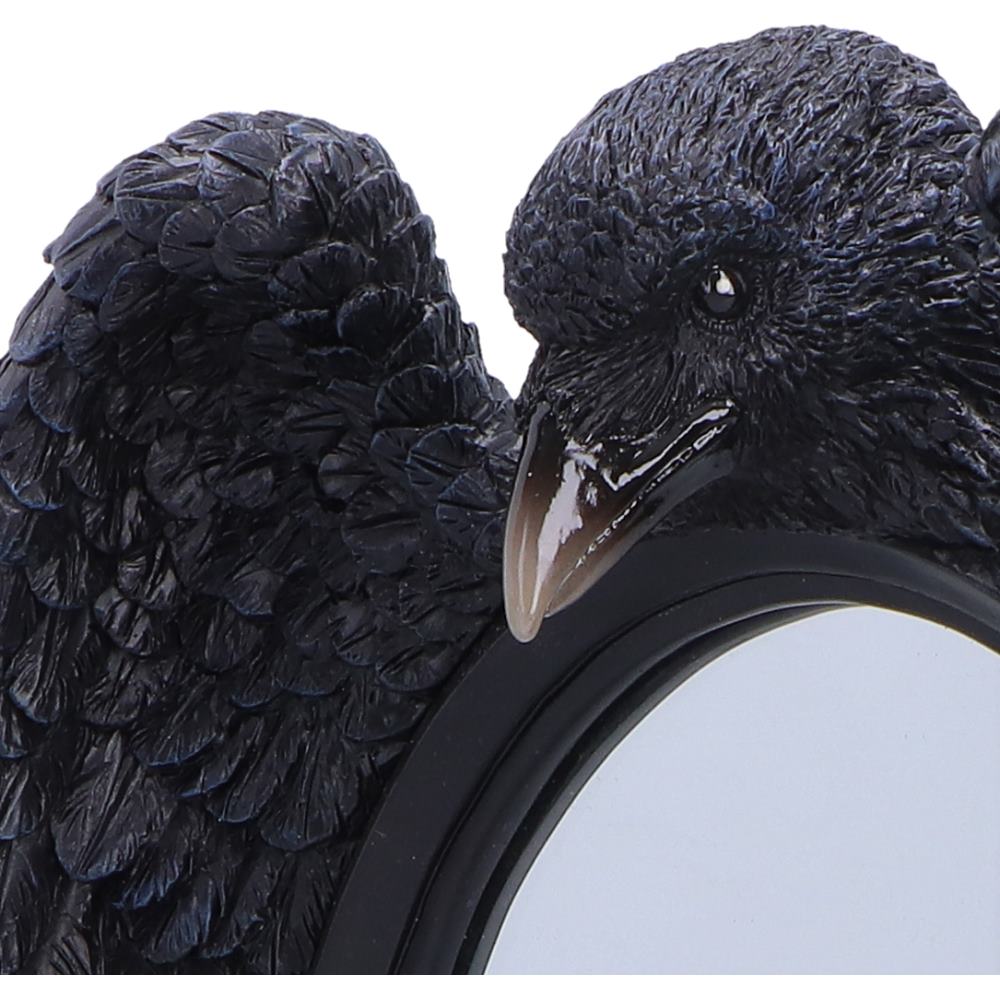 Hand-painted gothic raven mirror décor piece