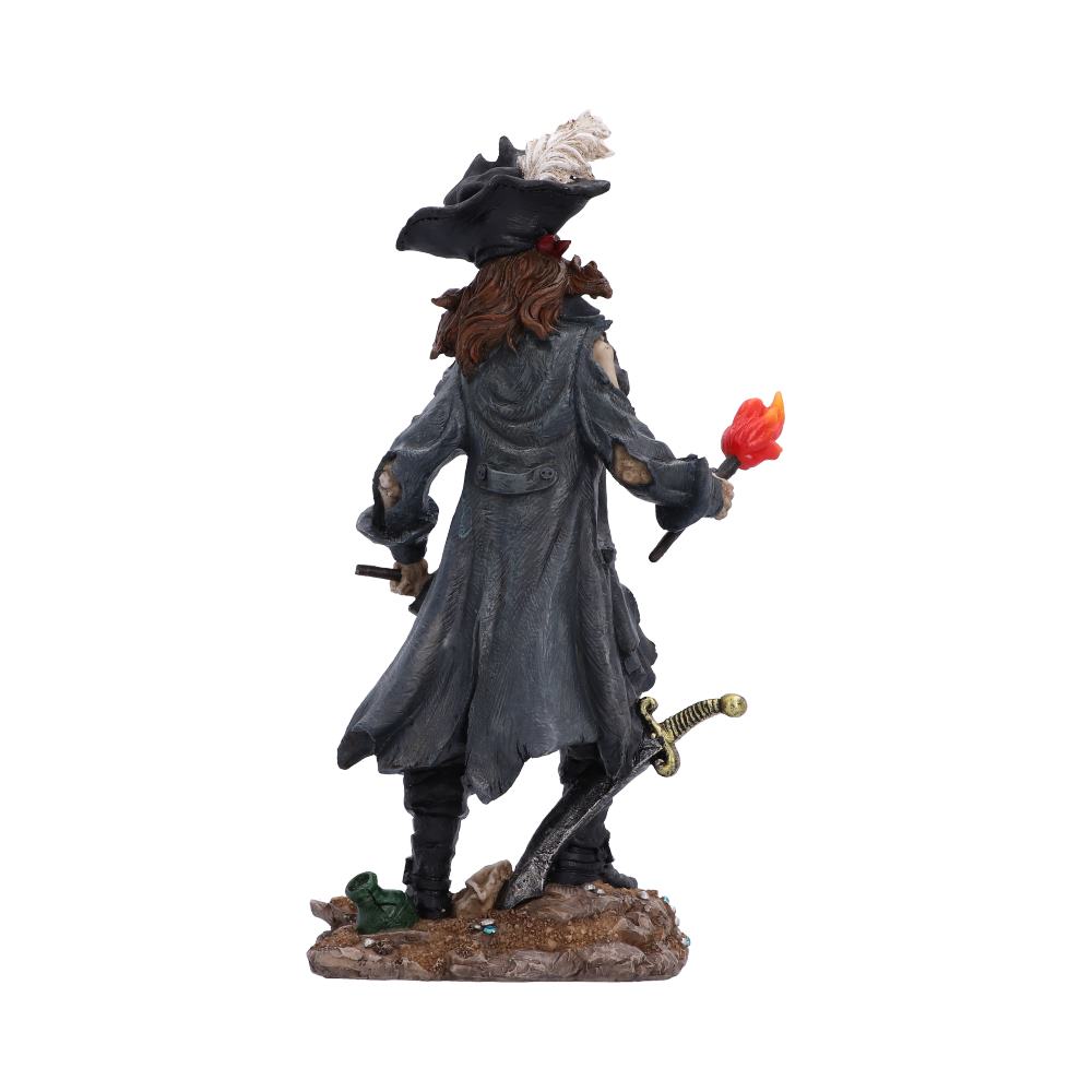 A pirate figurine shown from the back, wearing a dark gray coat and black hat with a white feather, holding a red-orange torch, with a sword at his side on a rocky base