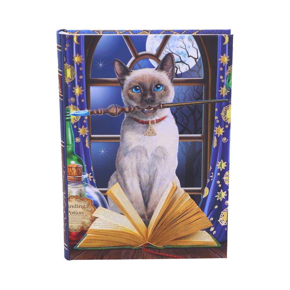 Hocus Pocus Journal by Lisa Parker 17cm