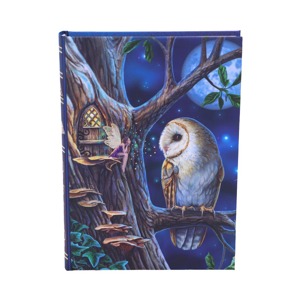 Fairy Tales Journal by Lisa Parker 17cm