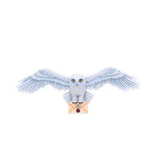 Load image into Gallery viewer, Harry Potter Hedwig Wall Plaque 45cm
