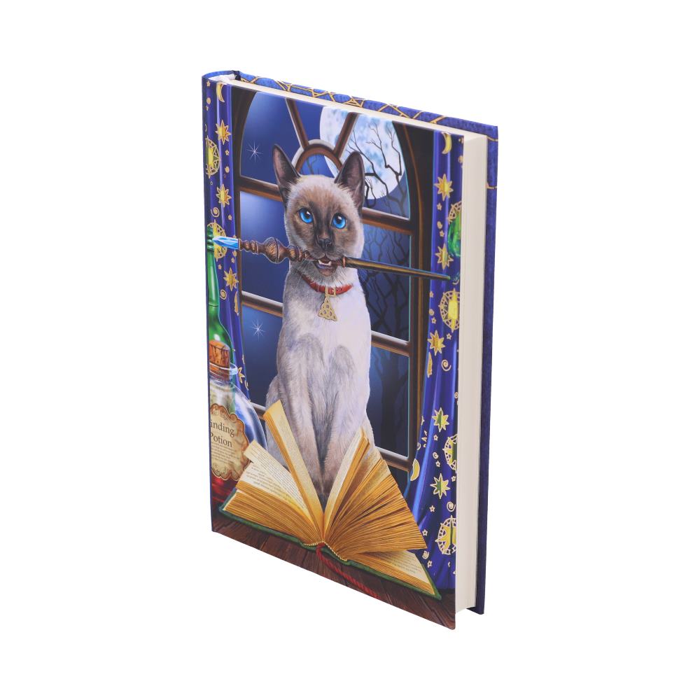 Hocus Pocus Journal by Lisa Parker 17cm