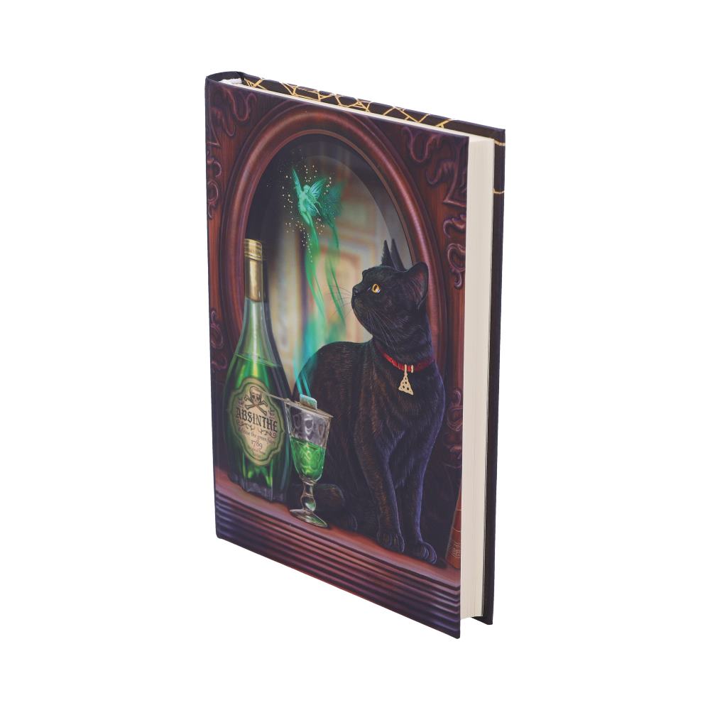 Absinthe Journal by Lisa Parker 17cm