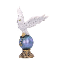 Load image into Gallery viewer, Magick Flight 23.5cm
