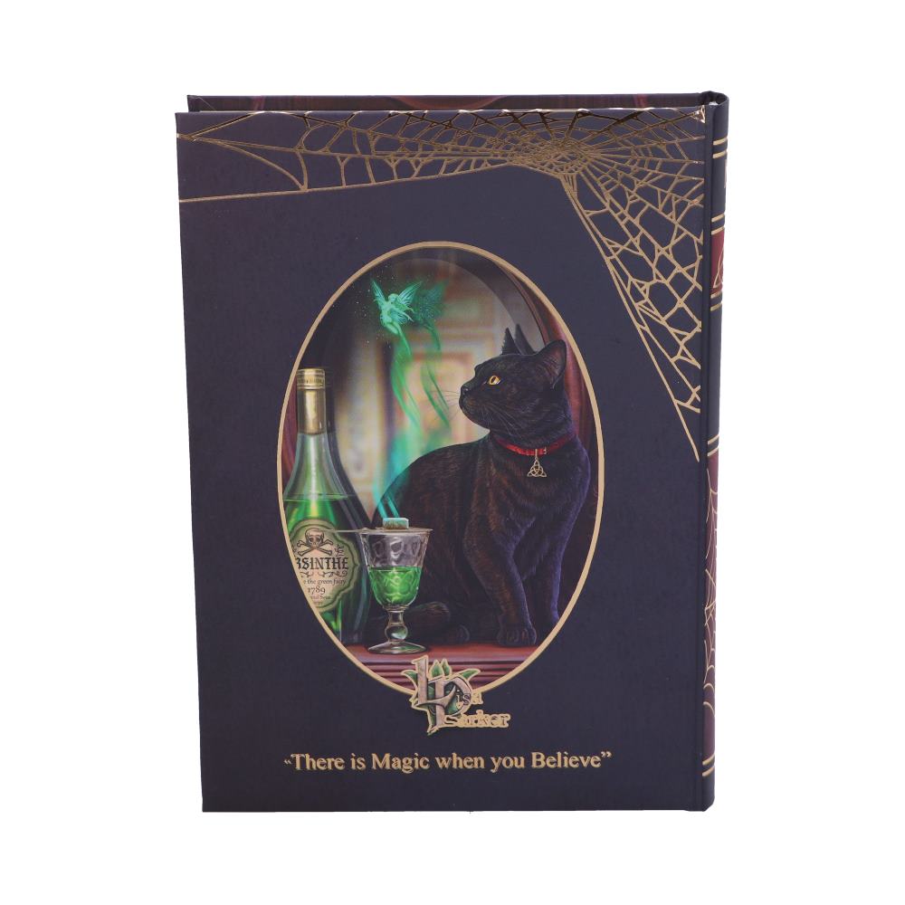 Absinthe Journal by Lisa Parker 17cm
