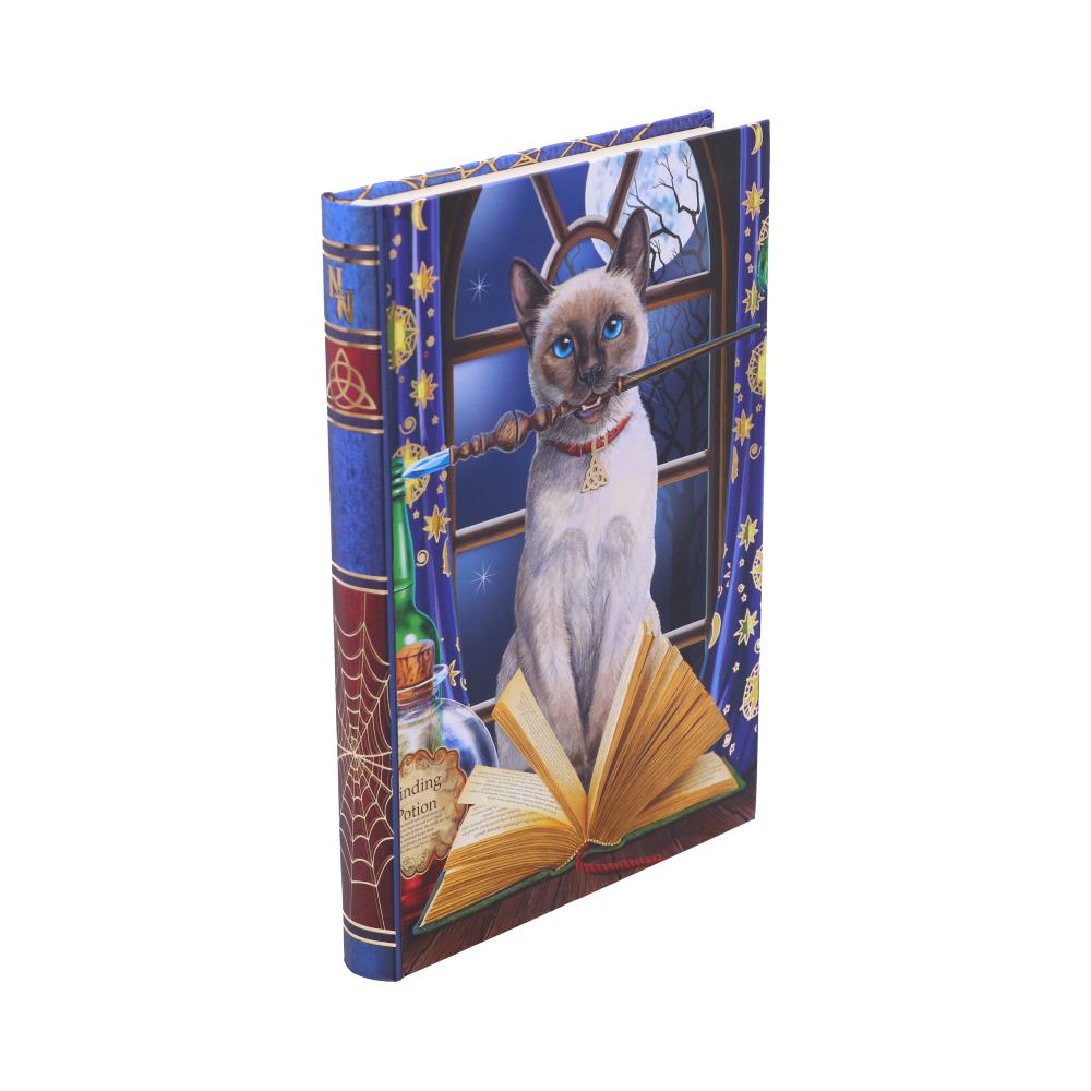 Hocus Pocus Journal by Lisa Parker 17cm