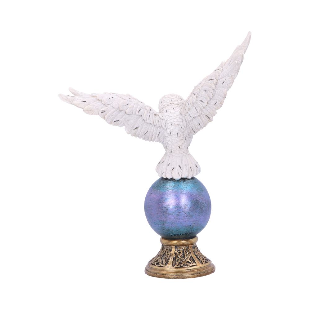 Magick Flight 23.5cm