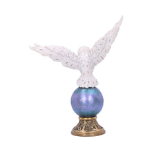 Load image into Gallery viewer, Magick Flight 23.5cm
