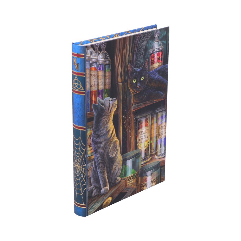 Magical Emporium Journal by Lisa Parker 17cm