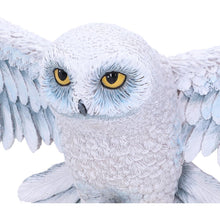 Load image into Gallery viewer, Harry Potter Hedwig Wall Plaque 45cm
