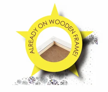 Lisa Parker The Astrologer Owl Framed Crystal Art Kit 40X50cm