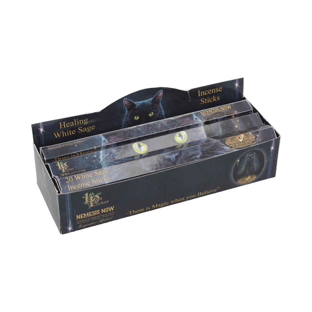 Healing Incense Sticks White Sage by Lisa Parker