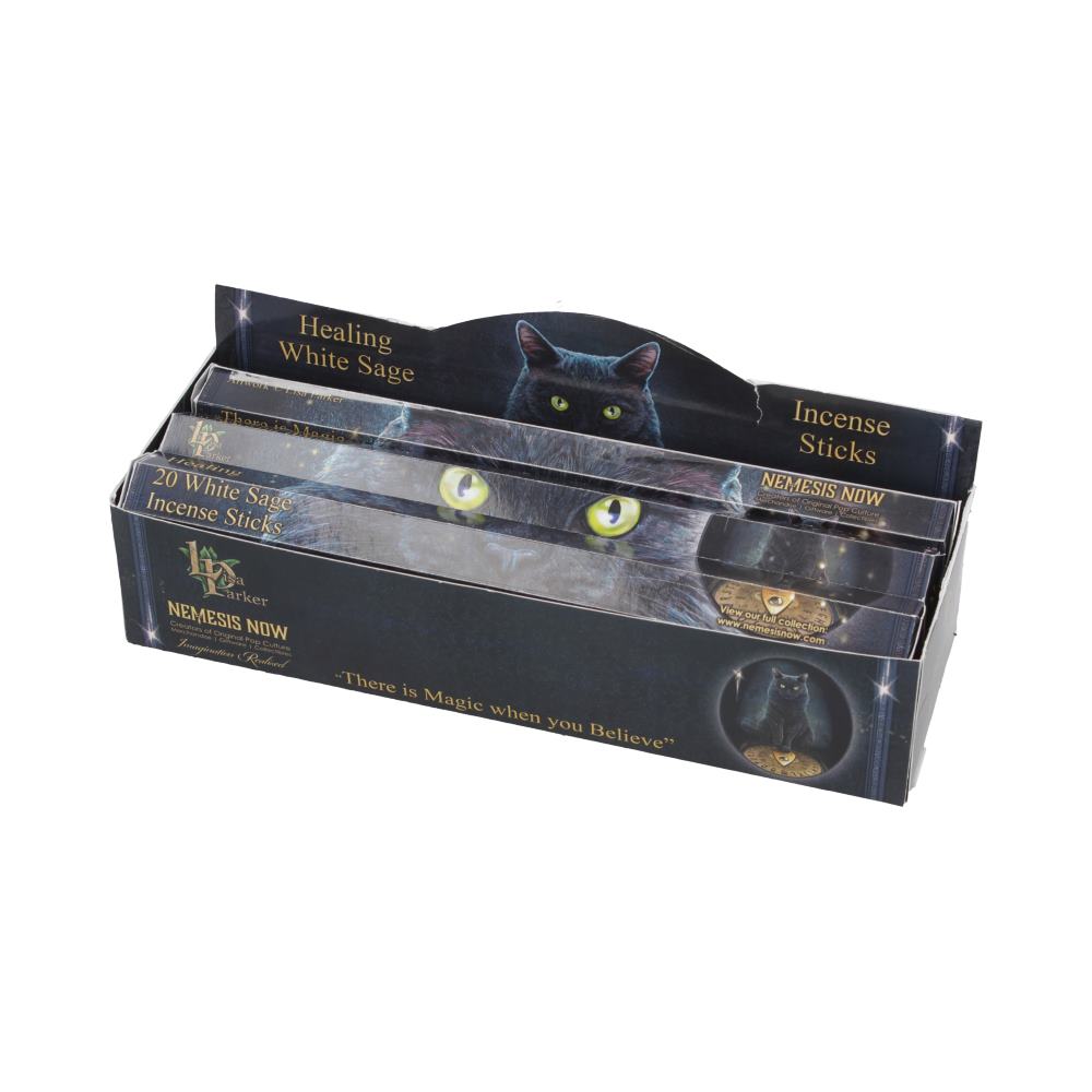 Healing Incense Sticks White Sage by Lisa Parker