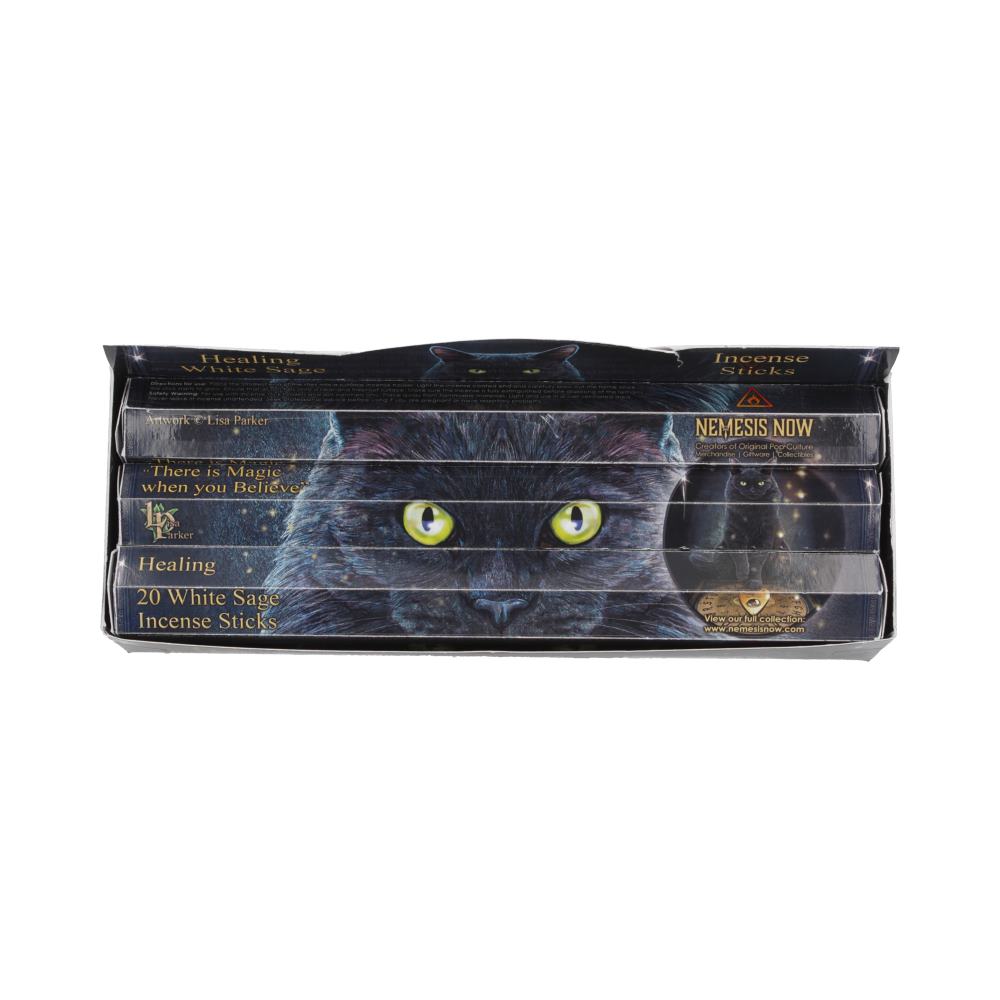 Healing Incense Sticks White Sage by Lisa Parker