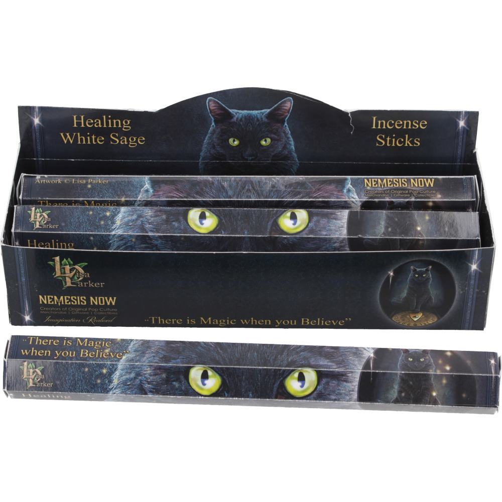Healing Incense Sticks White Sage by Lisa Parker
